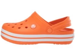 Crocs Kids Crocband Clog (Toddler/Little Kid) 12 Crocs Kids Crocband Clog (Toddler/Little Kid) -Fashion Sandals Store 614F7LWj0yL